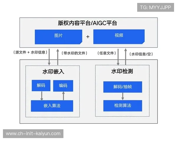 本季度数字水印技术升级，实现盗版内容快速溯源。